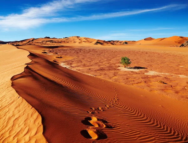 Sahara, Algeria
