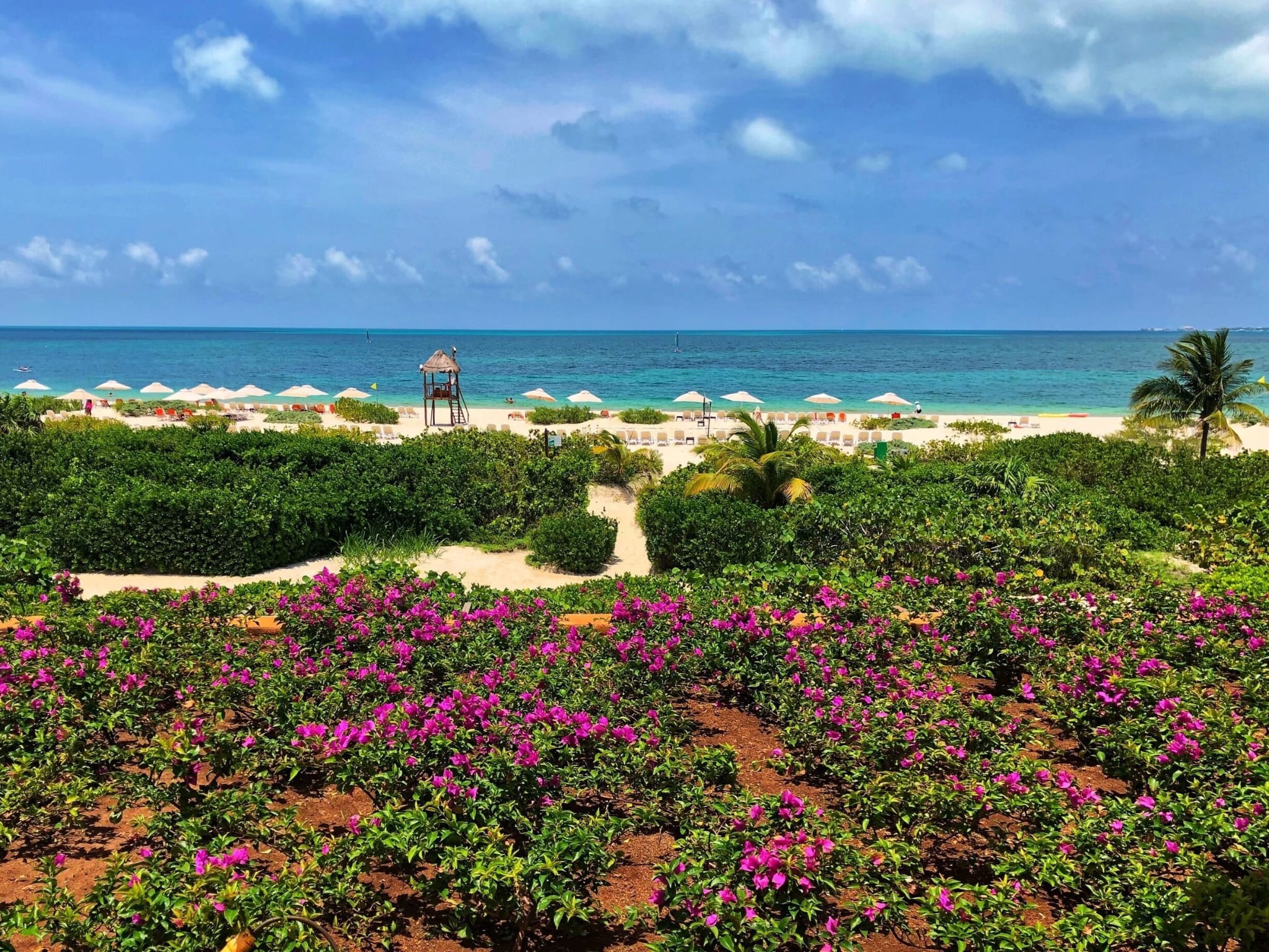  Mexico